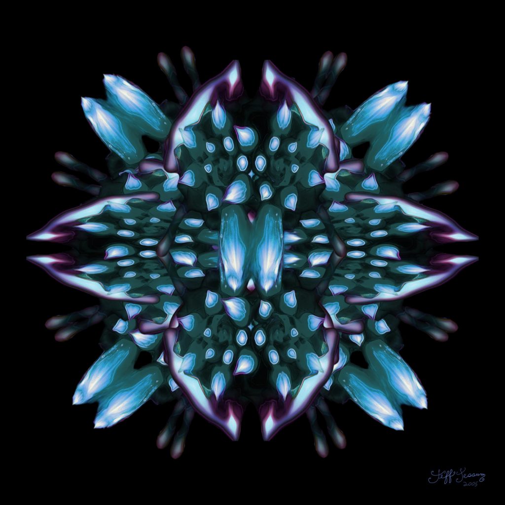 Desire of the Open Heart.jpg